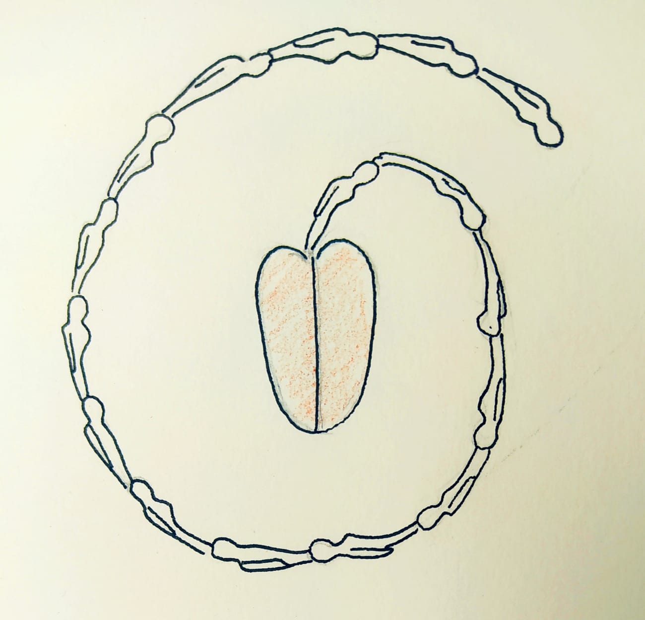 Brotando en infinito